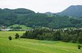 Hinaus ins Grüne.jpg