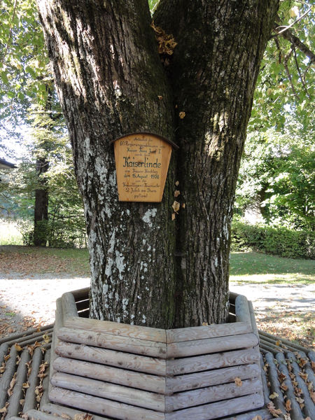 Datei:Kaiserlindein St. Jakob, Infotafel.jpg