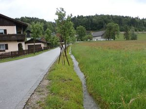 Pfarrhofallee mit dem Villabacherl.jpg