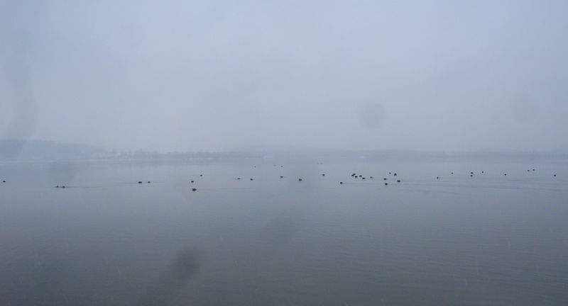 Datei:Seeblick R0010646.jpg