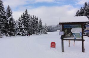 Wasenmoos-Loipe.jpg