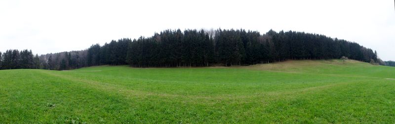 Datei:Rappenwang, heubergseitig.jpg