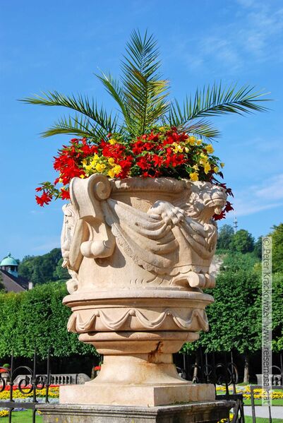 Datei:Rosengarten im Mirabellgarten 11.jpg