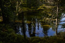 Tauernkarsee-127-2020-09-18.jpg
