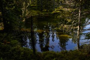 Tauernkarsee-127-2020-09-18.jpg