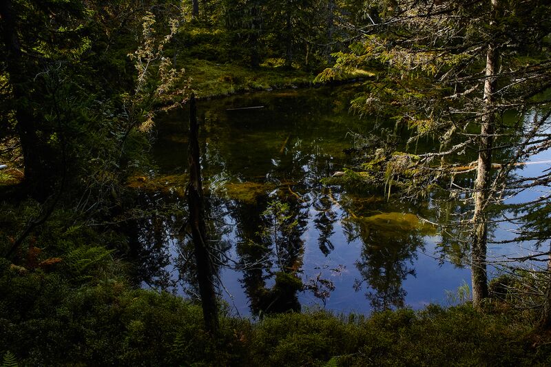 Datei:Tauernkarsee-127-2020-09-18.jpg