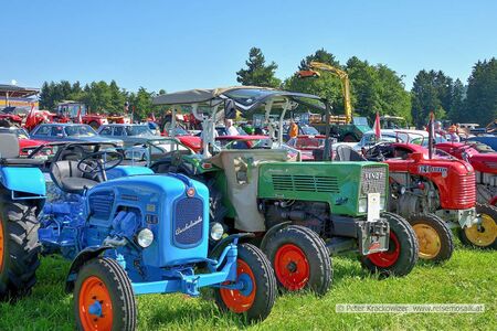 2025 08 09 Oldtimertreffen Oldtimerfreunde Neumarkt 15.jpg