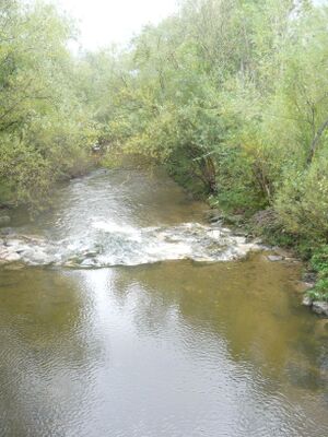 Fuschler ache in st. lorenz 007.jpg