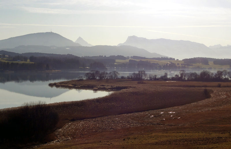 Datei:Nordteil des Wenger Moores, Aufn. 27.12.2011.JPG