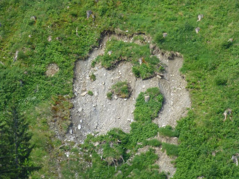 Datei:Plaike im Wolfbachtal.jpg