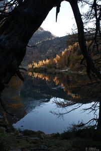 Untere landschitz0119.jpg