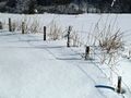 Vorschaubild der Version vom 17:42, 25. Feb. 2013