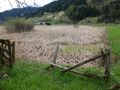 Vorschaubild der Version vom 23:21, 20. Apr. 2014