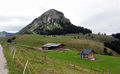 Reitalm mit Selbstversorgerhütte.jpg