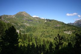 Wirpitschalm 29842 2016-07-10.jpg