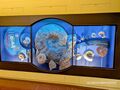 2025 02 02 Haus der Natur 07.jpg