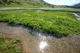 Hundsfeldsee obertauern 30866 2016-08-04.jpg