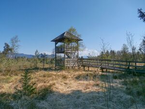 Aussichtsturm im Wenger Moor.jpg
