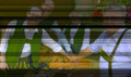 Vorschaubild der Version vom 16:29, 3. Nov. 2012