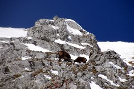 Hochkönig100 0315.jpg