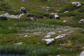 Krummschnabelsee obertauern 30928 2016-08-04.jpg