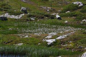 Krummschnabelsee obertauern 30928 2016-08-04.jpg