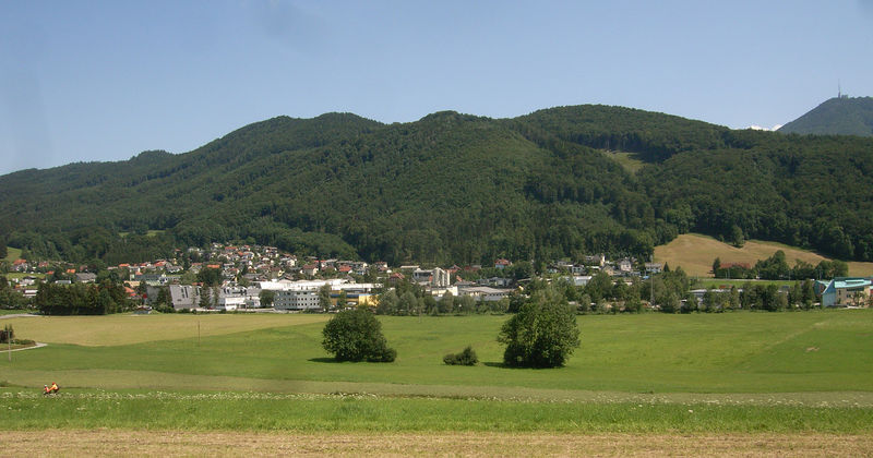 Datei:Mayrwies 004.jpg