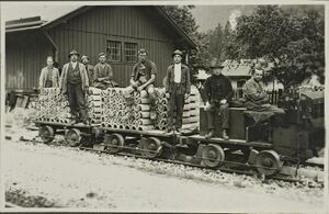 Salzburg-Tiroler-Bahn Werfen Sulzau 03.jpg