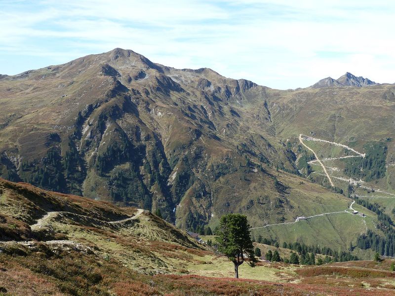 Datei:Almerschließung im Wildkogelgebiet.jpg