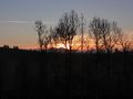 Sonnenuntergang in Neumarkt.jpg