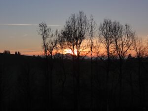 Sonnenuntergang in Neumarkt.jpg