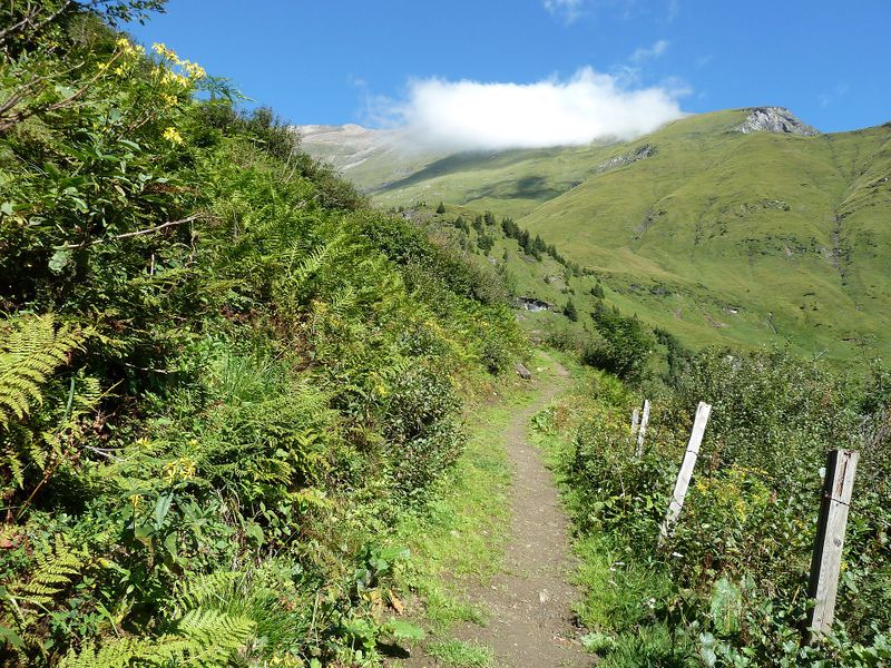 Datei:Wassererlebnisweg.jpg