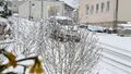 2021 04 07 Schneefall durch Tief Ulli.jpg