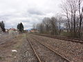 DSC07955.JPG
