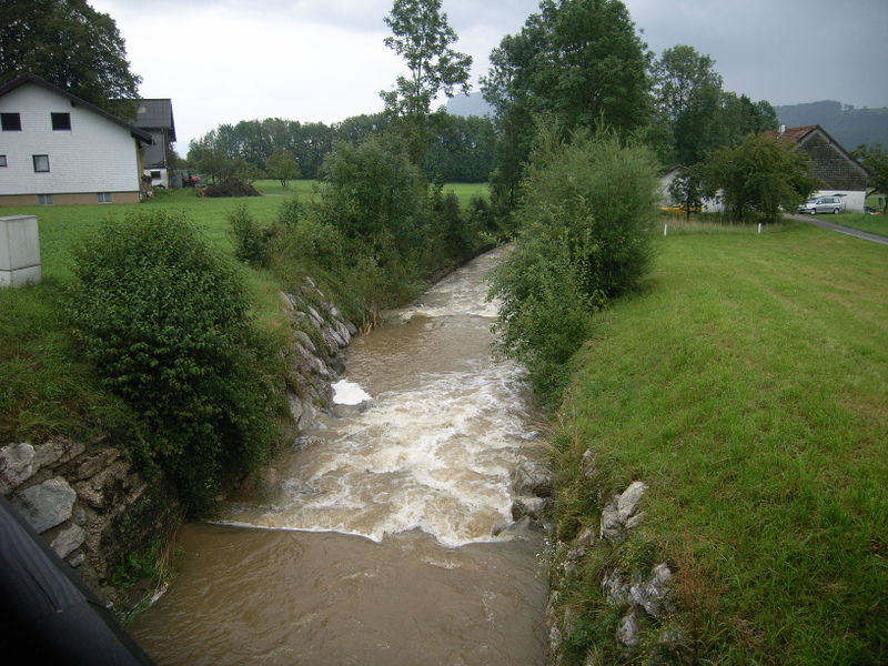 Datei:Fischbachverlauf 006.jpg