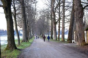 Hellbrunner Allee.jpg