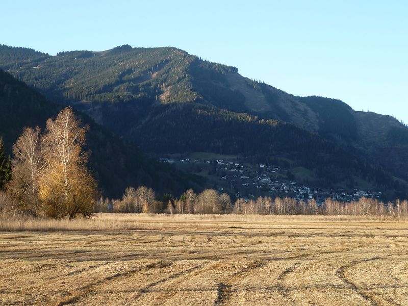 Datei:Naturschutzgebiet Zeller See 42.jpg