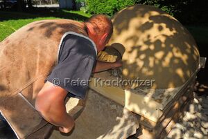 Permakultur Workshop Neumarkt am Wallersee 13.jpg