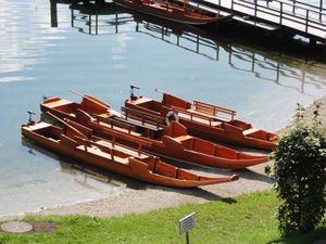 Plätten am Ufer in Altaussee.JPG