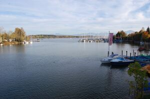 Chiemsee bei Seebruck.jpg