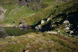 Wirpitschsee, obere-weißpriach 29662 2016-07-10.jpg