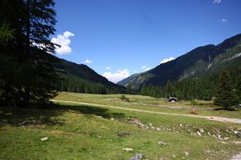 Forstautal, hinteres 63677 2013-07-23.jpg