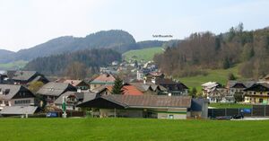 Fuschl, Blick zur Schöffbaumhöhe.jpg