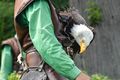 Vorschaubild der Version vom 11:11, 20. Jul. 2018
