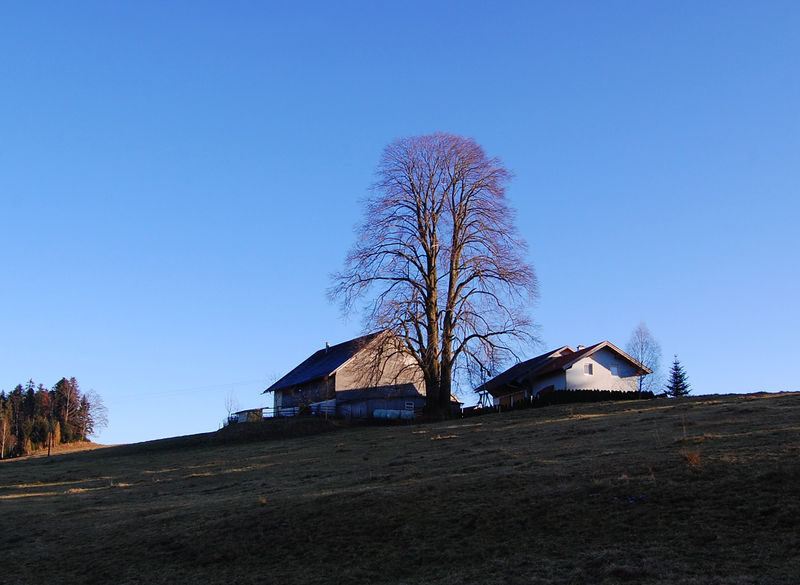 Datei:Storegglinden am Abend.jpg