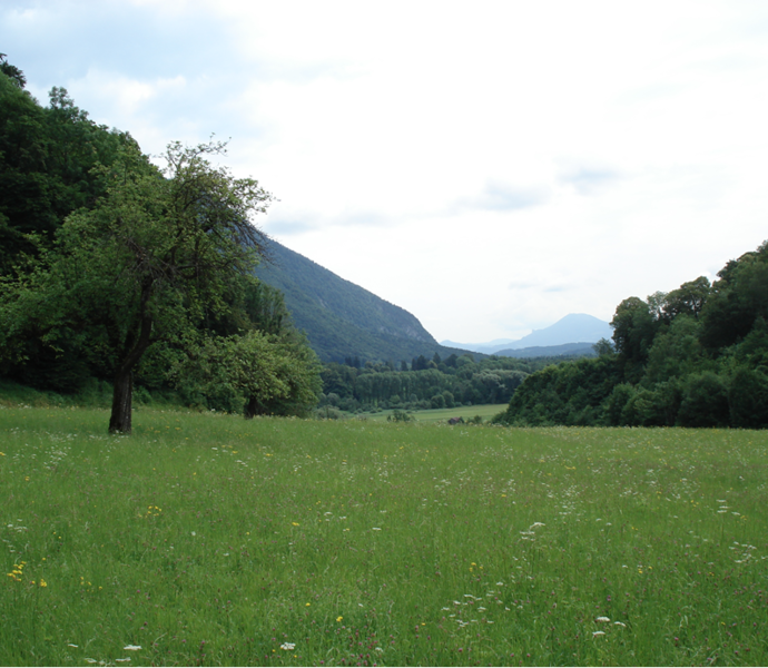 Datei:!cid image001 png@01CF9205.png