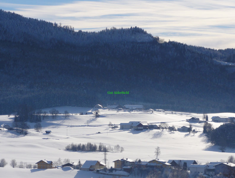 Datei:Aiderbichl.jpg