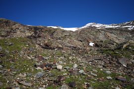 Hocharn 19.08.2008 0169.jpg