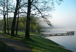Ibmer See morgens.jpg