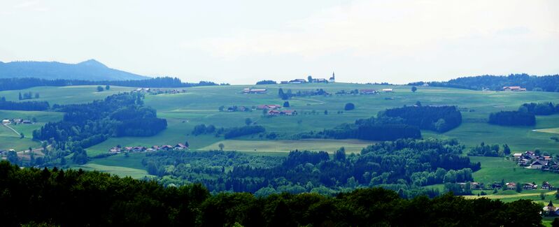 Datei:Von Osten Sommerholz.jpg